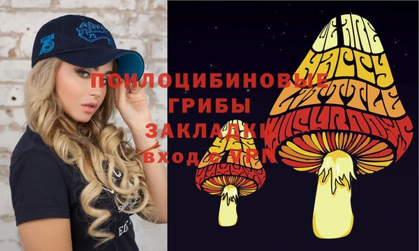 дживик Магадан