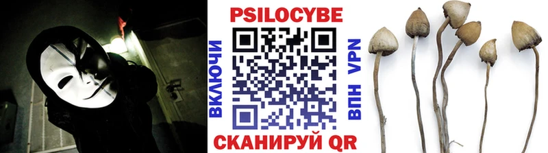 как найти закладки  Шиханы  Галлюциногенные грибы Psilocybe 